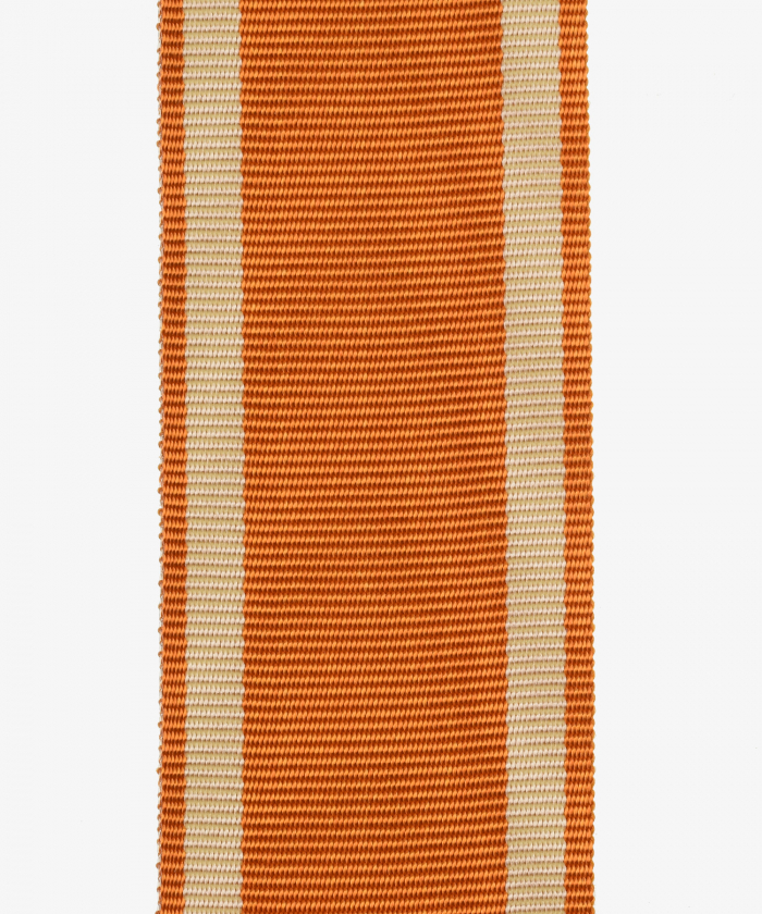 German Empire, German Protective Wall Medal (137)